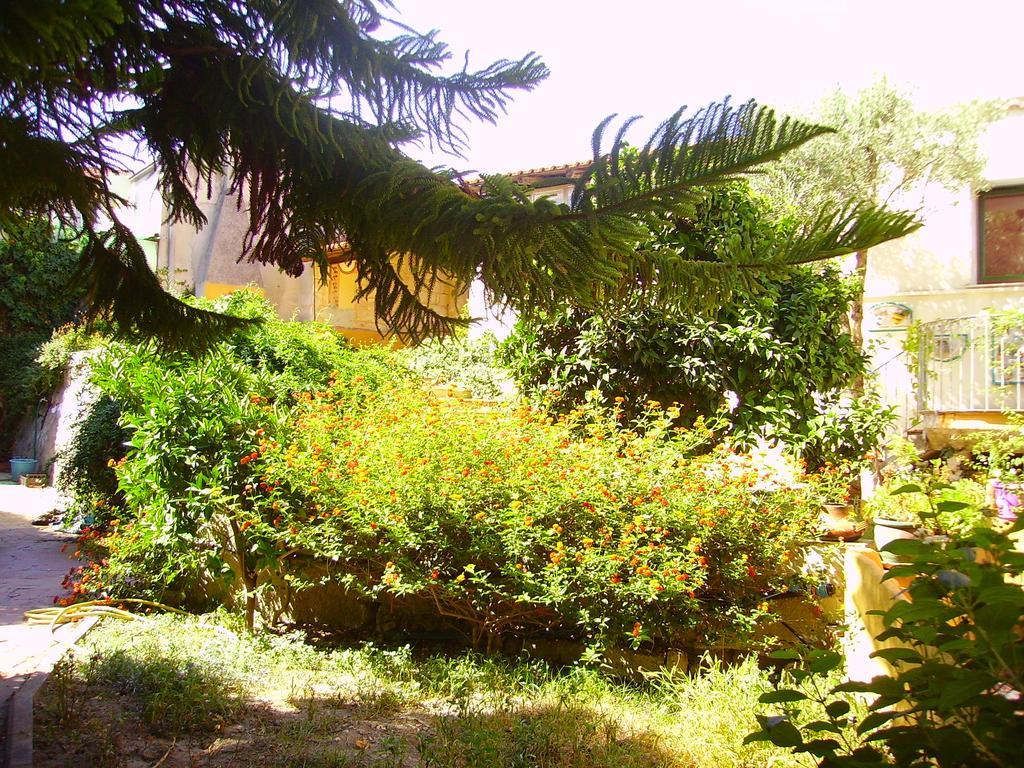 L'Antica Cantina Usini Buitenkant foto